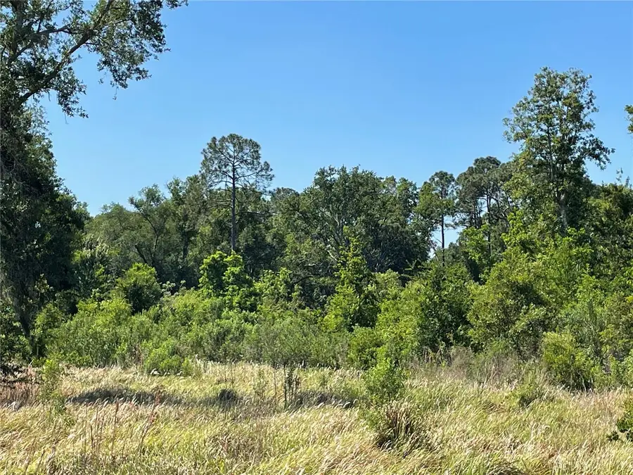 Avonwood, Tampa, FL 33625 - #3