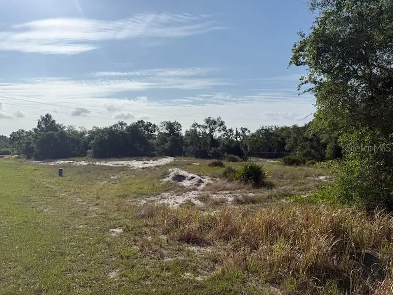 Cedarwood Drive, Lake Wales, FL 33898 - #2