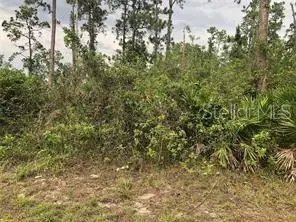 19619 NW 242nd Street, OKEECHOBEE, FL 34972