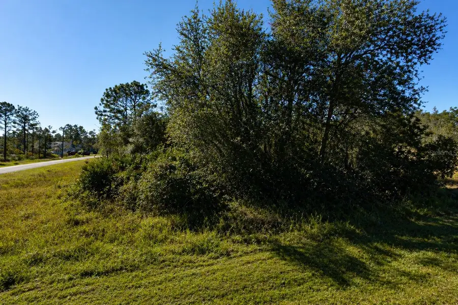 302 Bowfin Lane, Poinciana, FL 34759 - #3