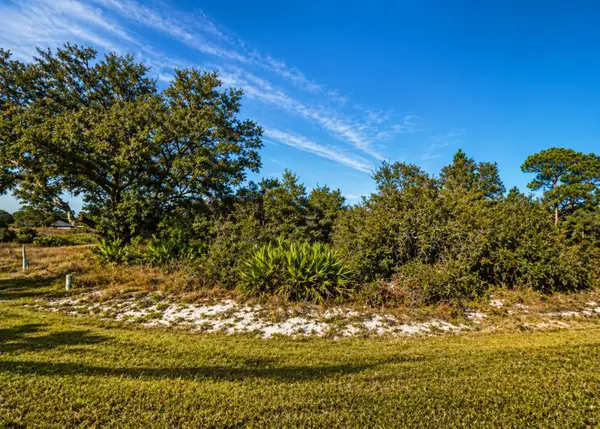 320 Bowfin Drive, KISSIMMEE, FL 34759