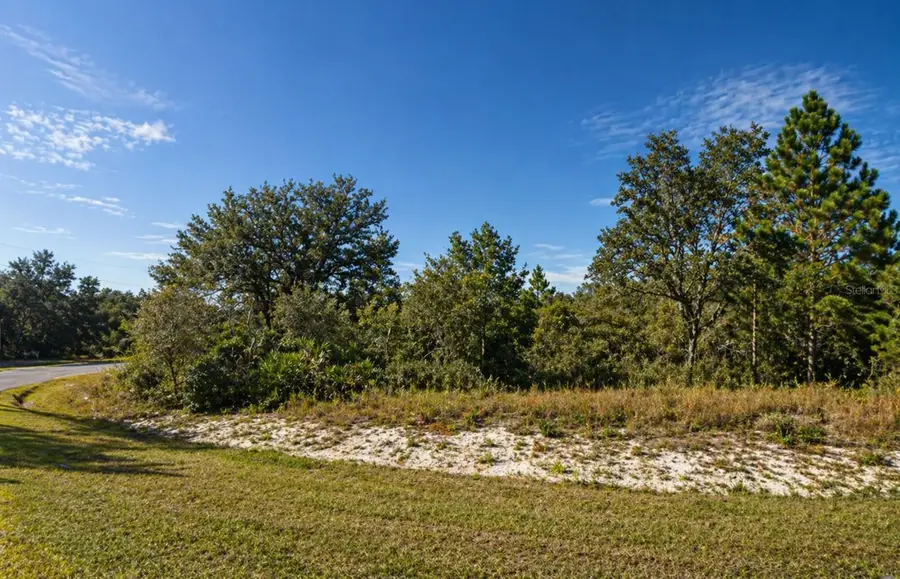 320 Bowfin Drive, Poinciana, FL 34759 - #3