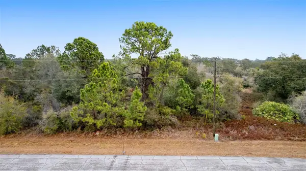 1519 Mediterranean Drive, POINCIANA, FL 34759