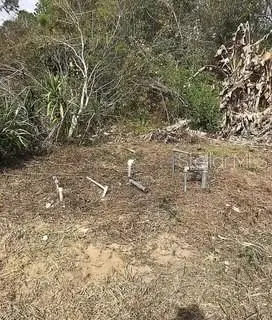 9320 Canal Road, Haines City, FL 33844 - #3