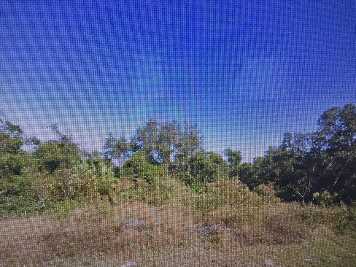 407 Baltic Court, Poinciana, FL 34759 - #1