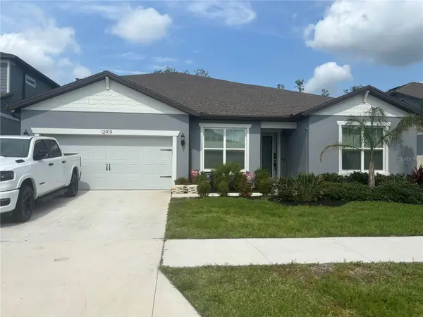 12919 Willow Grove Drive, RIVERVIEW, FL 33579