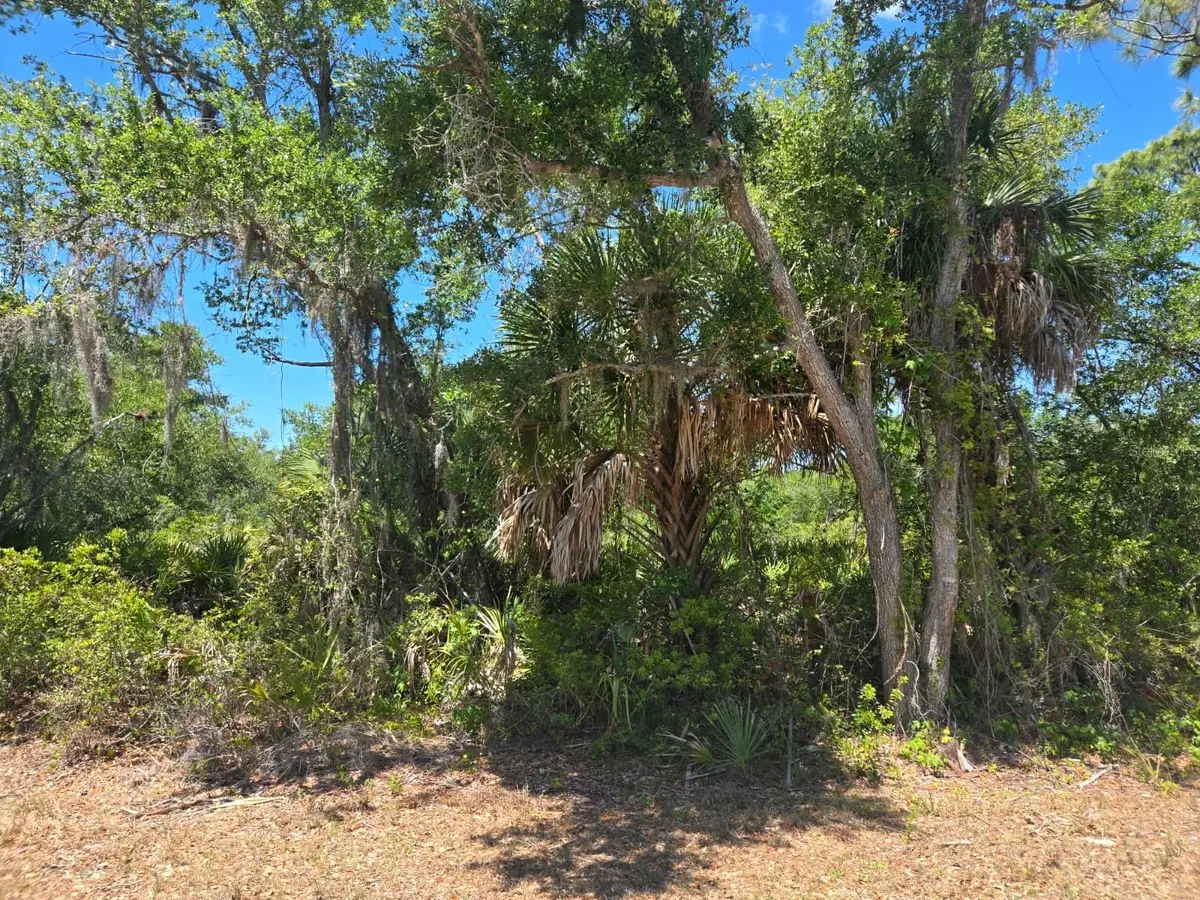3137 Calexico Street, Port Charlotte, FL 33948 - #1