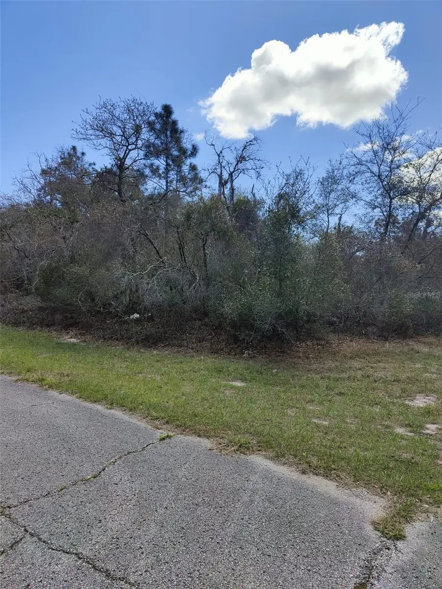 408 Vernon Court, Poinciana, FL 34759 - #1