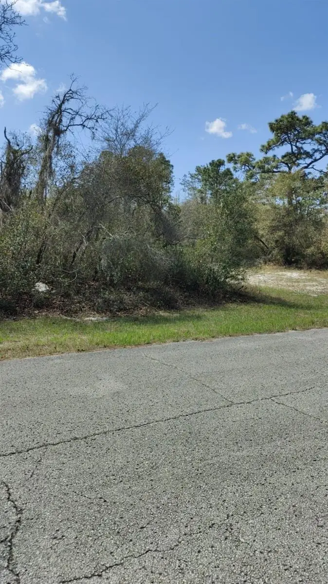 408 Vernon Court, Poinciana, FL 34759 - #2