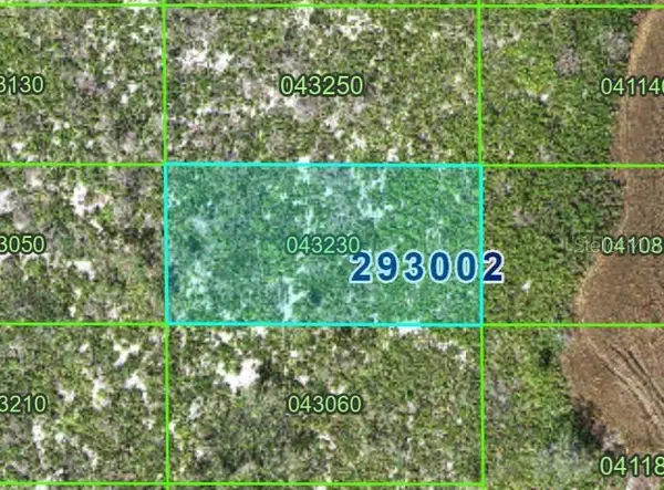 Pid #29 30 02 000000 043230, LAKE WALES, FL 33898