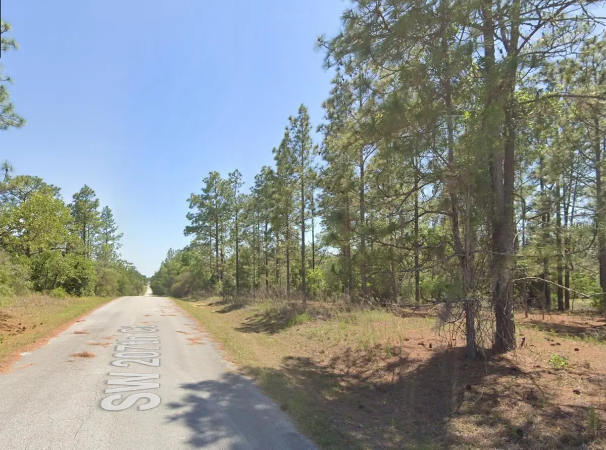 Southwest 207th Court, Dunnellon, FL 34431 - #1
