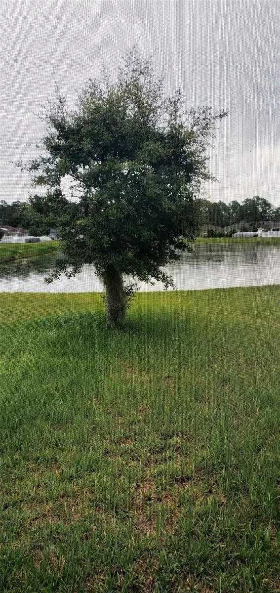4592 Big Island Drive, Kissimmee, FL 34746 - #3