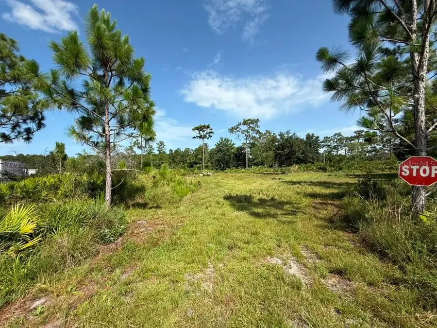 6139 Krazy, Saint Cloud, FL 34773 - #2