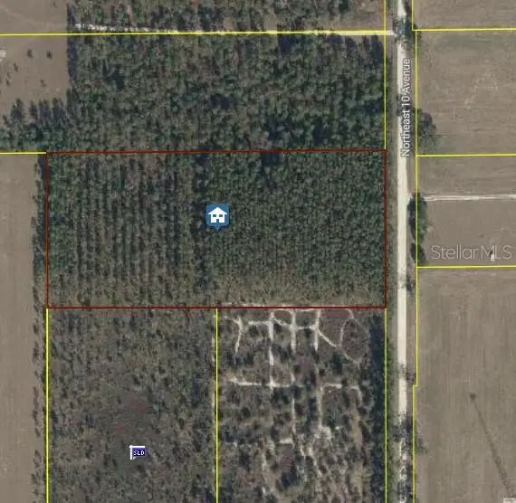 Trenton, TRENTON, FL 32693