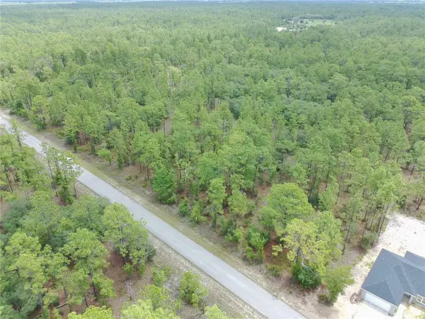 SW Buena Vista Road, DUNNELLON, FL 34431