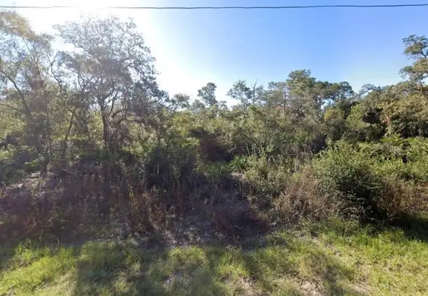 441 Vernon Court, KISSIMMEE, FL 34759