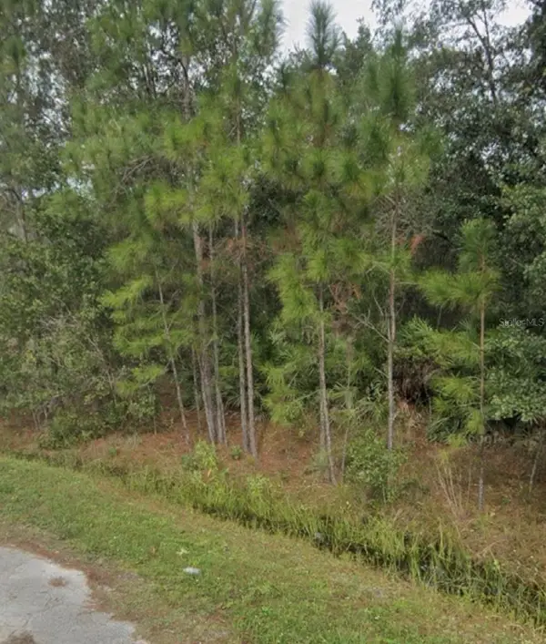 1437 Tern Court, POINCIANA, FL 34759