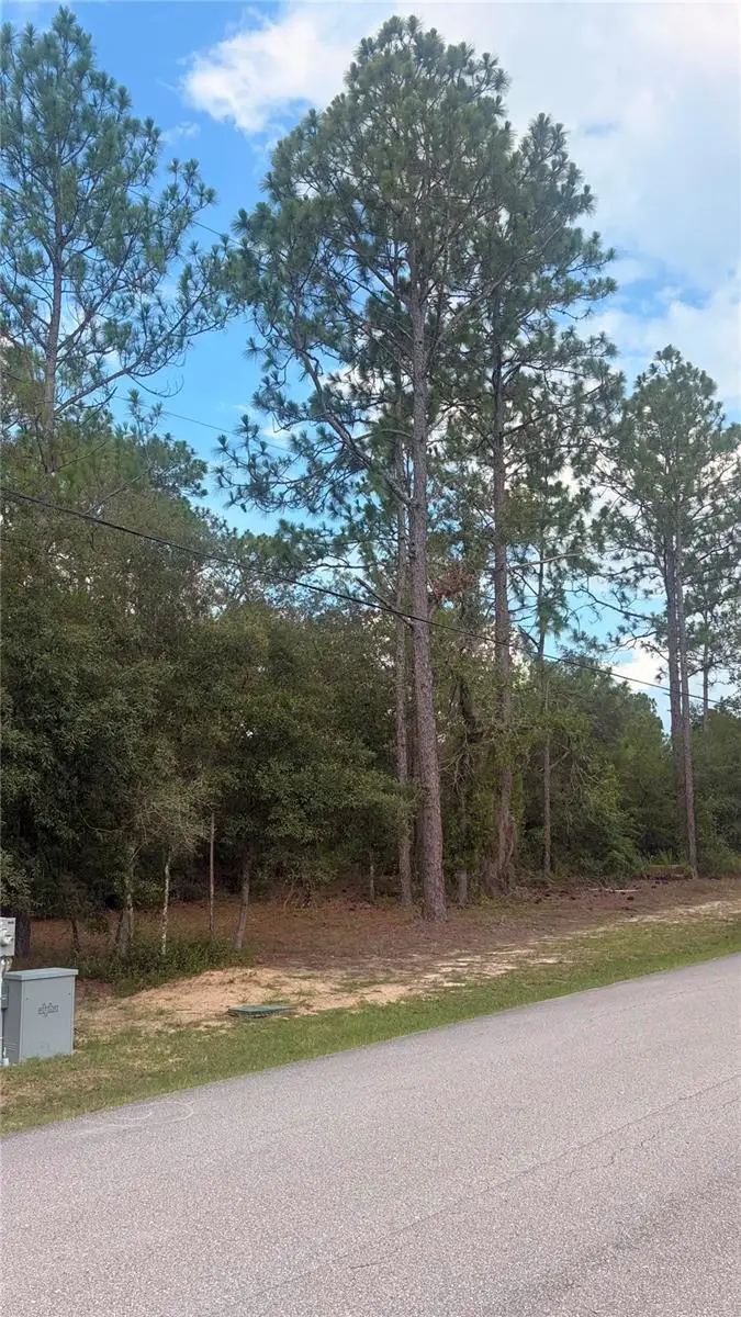 Sw 207th Court, Dunnellon, FL 34431 - #3