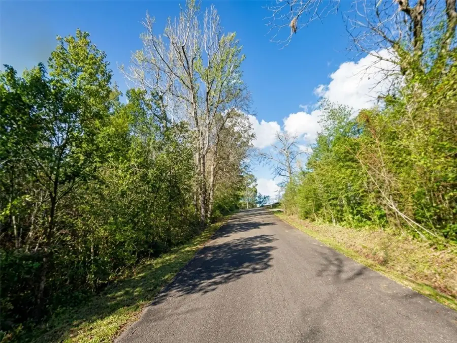 Satsuma Rd, Chattahoochee, FL 32324 - #2