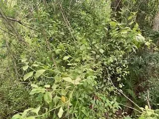 Sweetwater Trail, KISSIMMEE, FL 34747