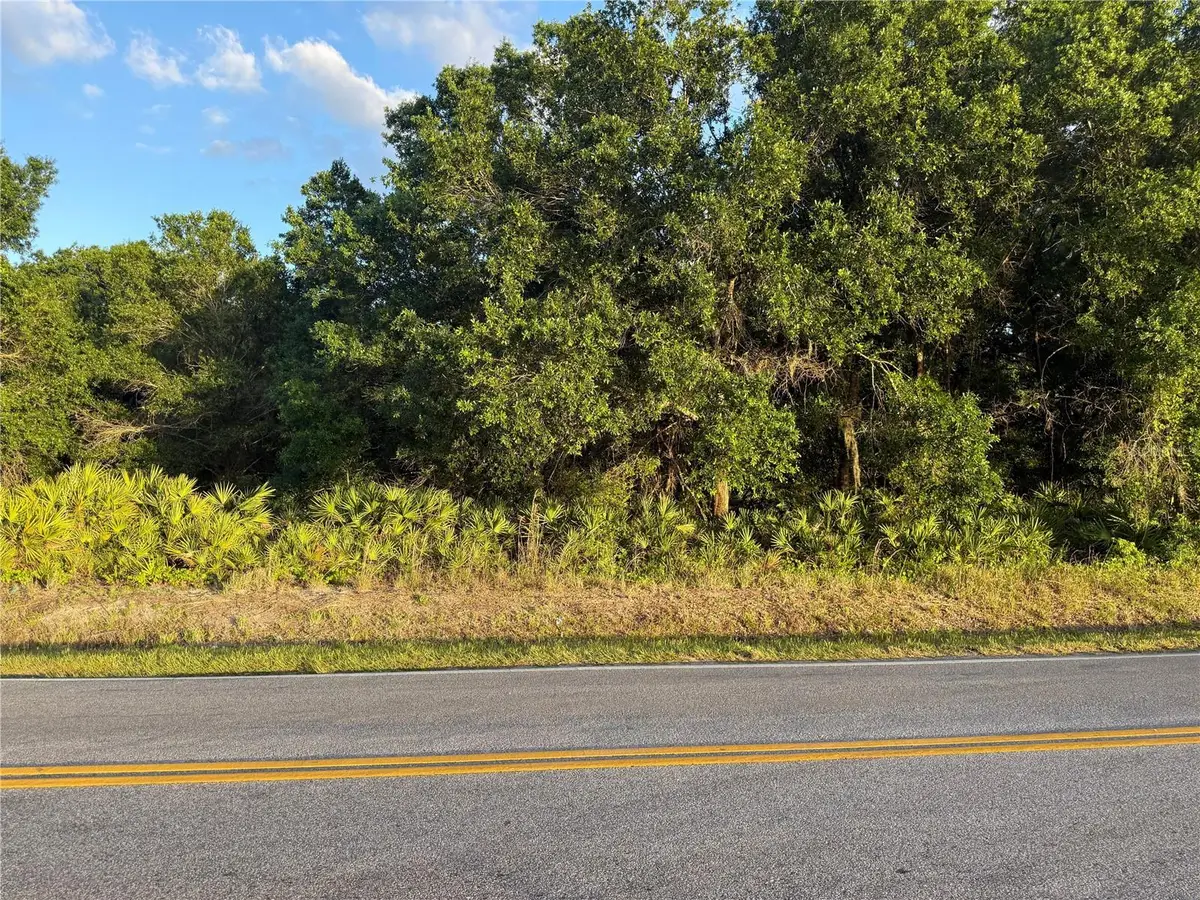 0 Alturas Babson Park Cutoff Road, Lake Wales, FL 33859 - #1