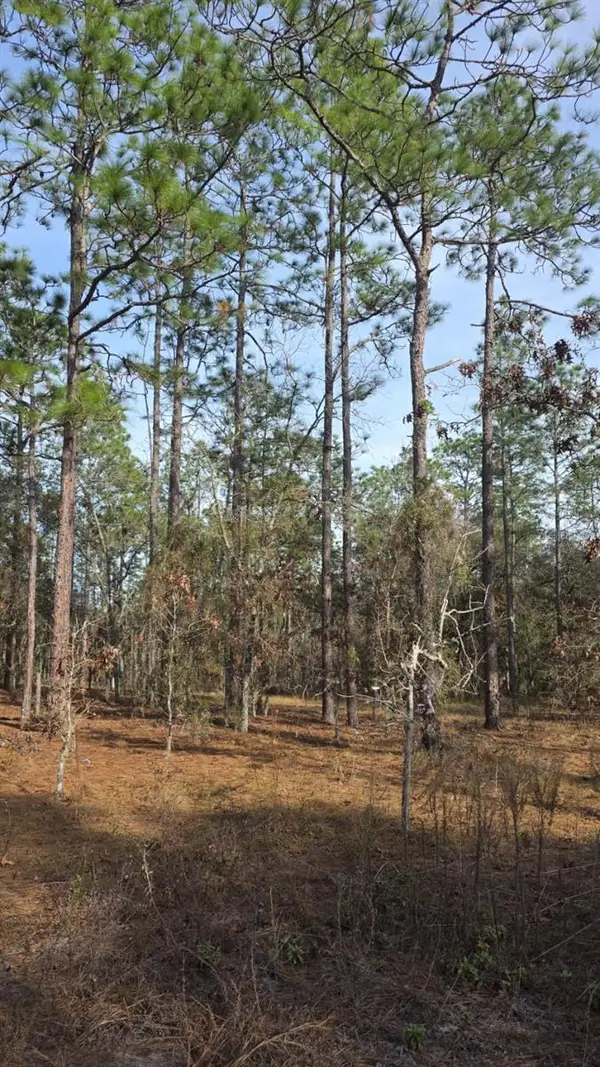 0 NW Alvarez Rd N Nw Alvarez Rd Highway, DUNNELLON, FL 34431