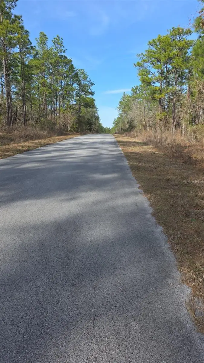 0 NW Alvarez Rd N Nw Alvarez Rd Highway, Dunnellon, FL 34431 - #2
