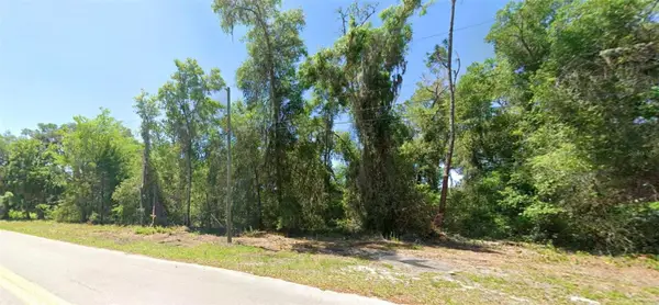 4362 E Mate Lane, HERNANDO, FL 34442