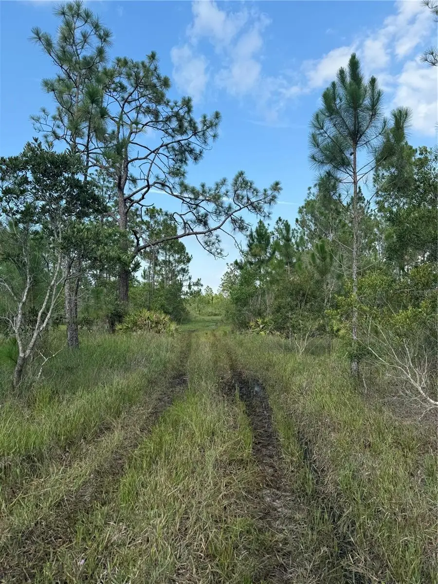 Holopaw Groves Road #Lot 125 & 126, Saint Cloud, FL 34773 - #3