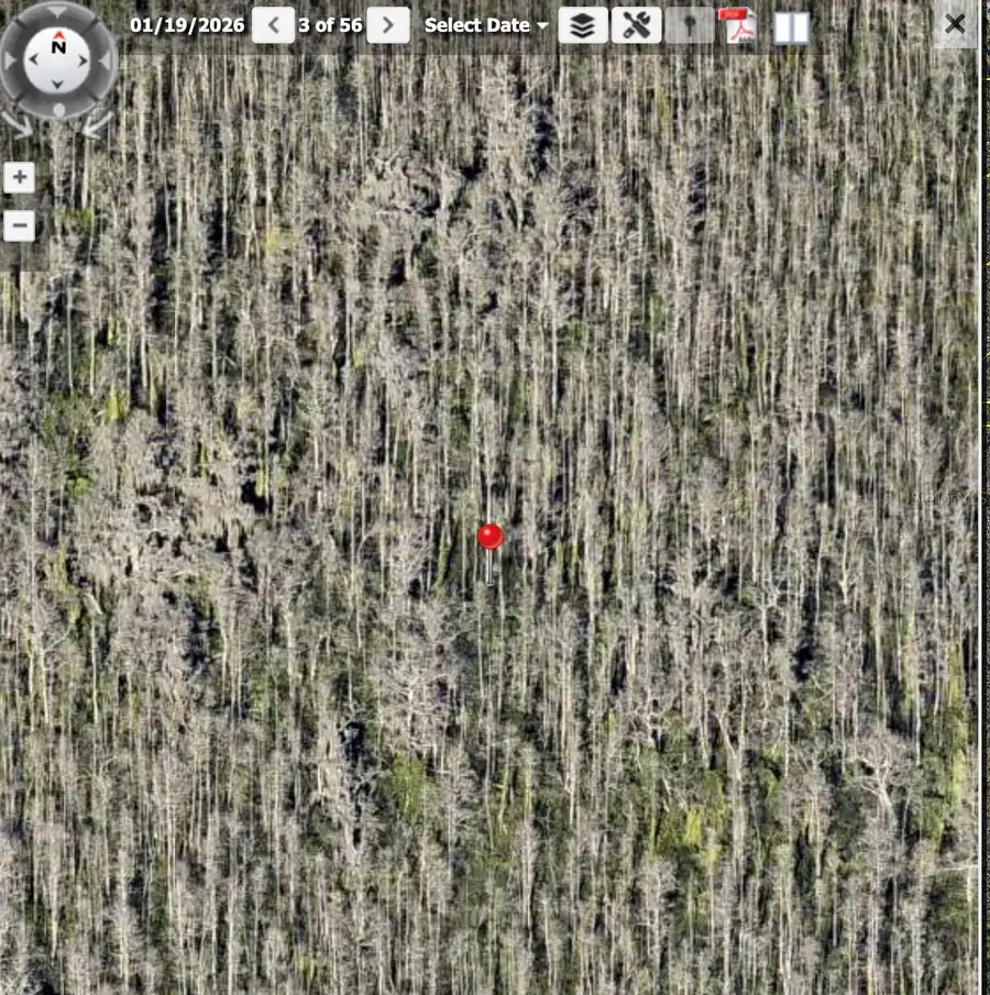 Holopaw Groves Road, Saint Cloud, FL 34773 - #3