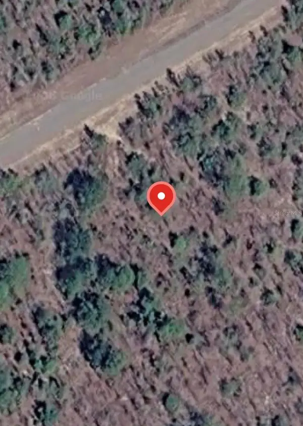 Albion Drive #35, CHIPLEY, FL 32428