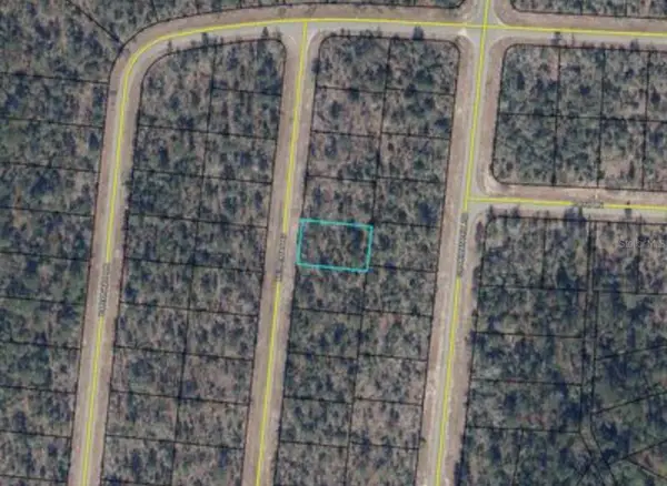 Merrimac Avenue, CHIPLEY, FL 32428