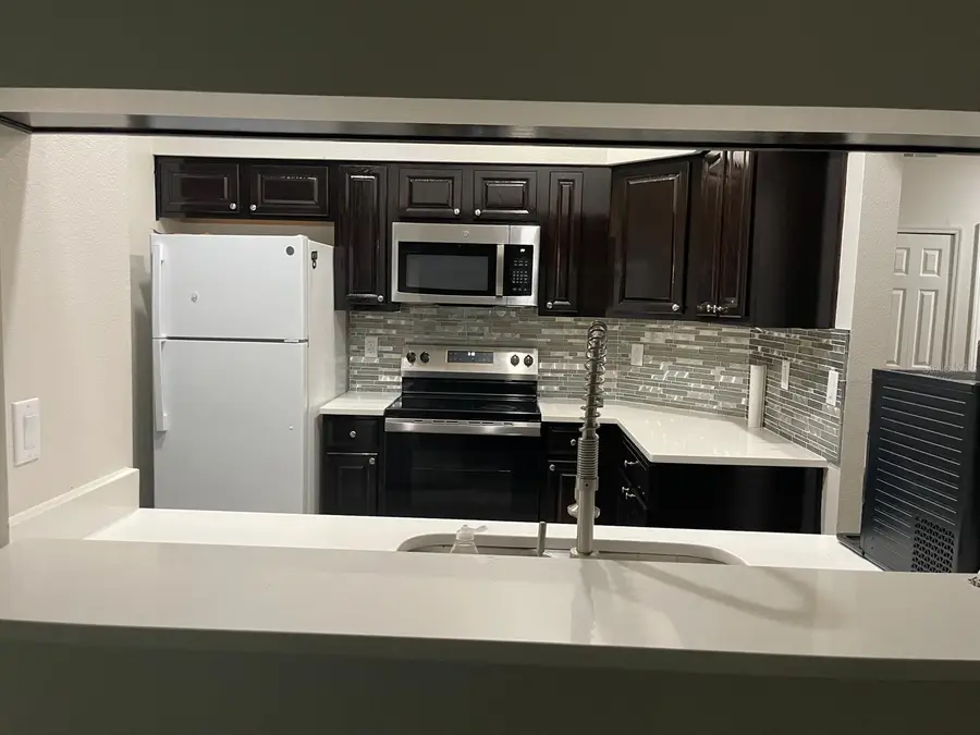 13303 Pinyon Drive, Clermont, FL 34711 - #3