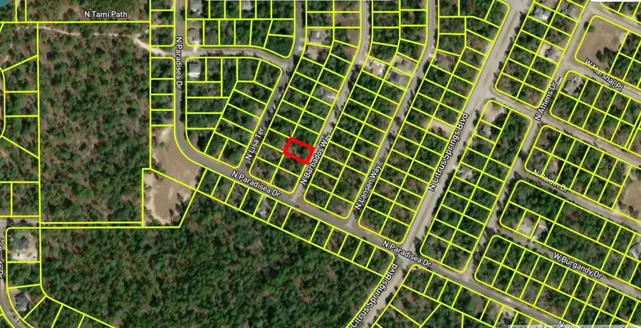 8864 N Barbados Way, Citrus Springs, FL 34433 - #2