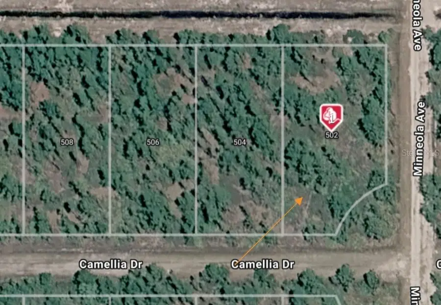 502 Camellia Drive, Indian Lake Estates, FL 33855 - #3