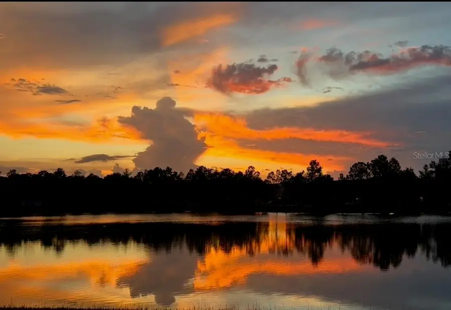 14125 Oasis Cove Boulevard #206, Windermere, FL 34786 - #2