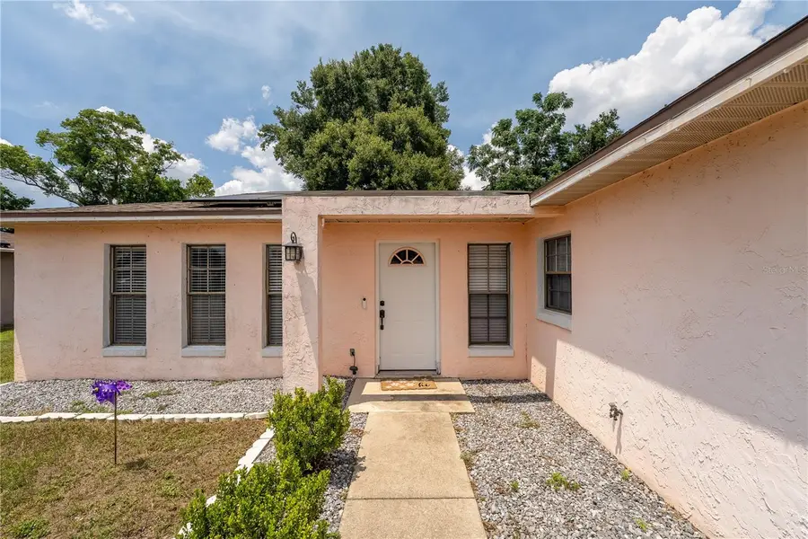 407 South Avenue, Eustis, FL 32726 - #2