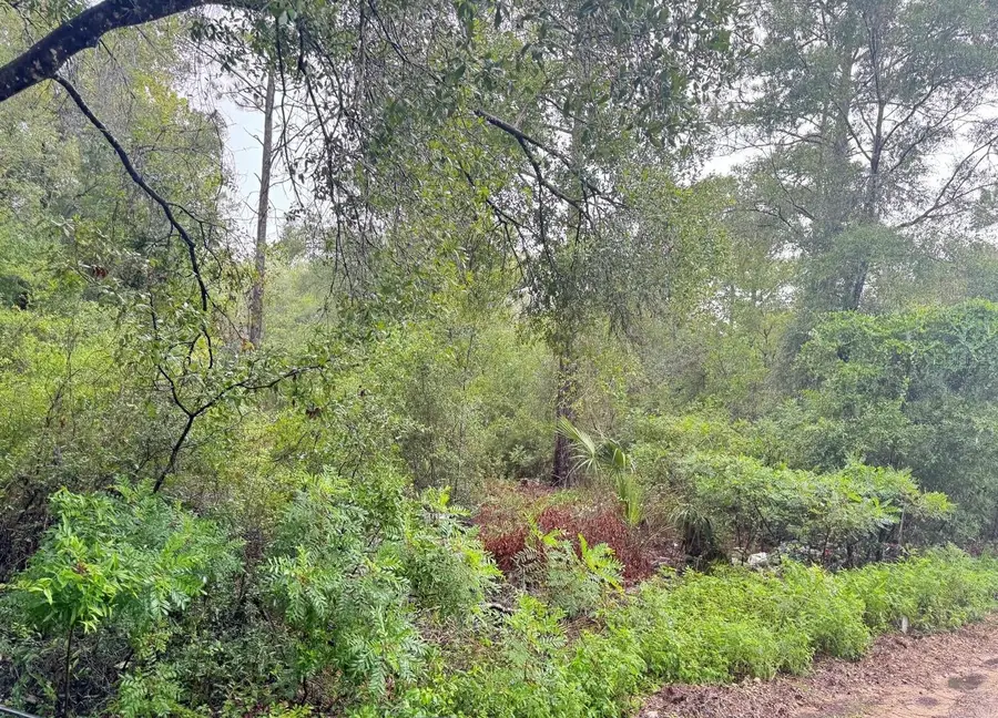 0 NE 85th Street, Bronson, FL 32621 - #2