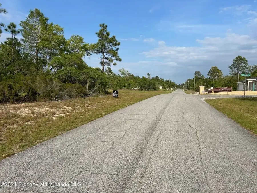 2923 W Pintado Drive, Citrus Springs, FL 34433 - #3