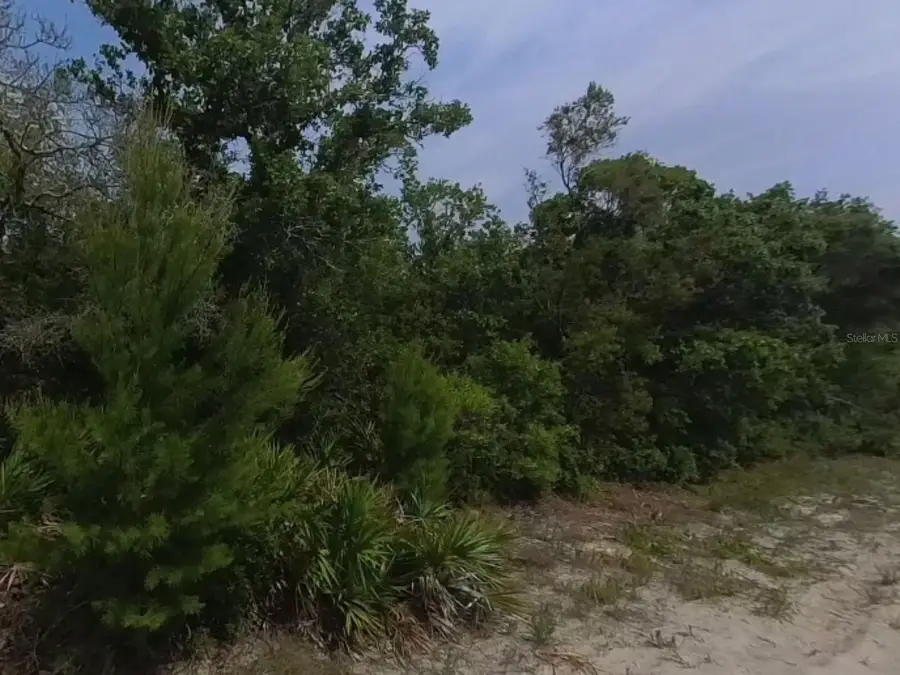 0 Riegel (paper) Avenue, Orange City, FL 32763 - #3
