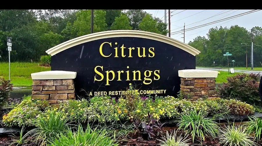 6694 N Edelweiss Way, Citrus Springs, FL 34434 - #2