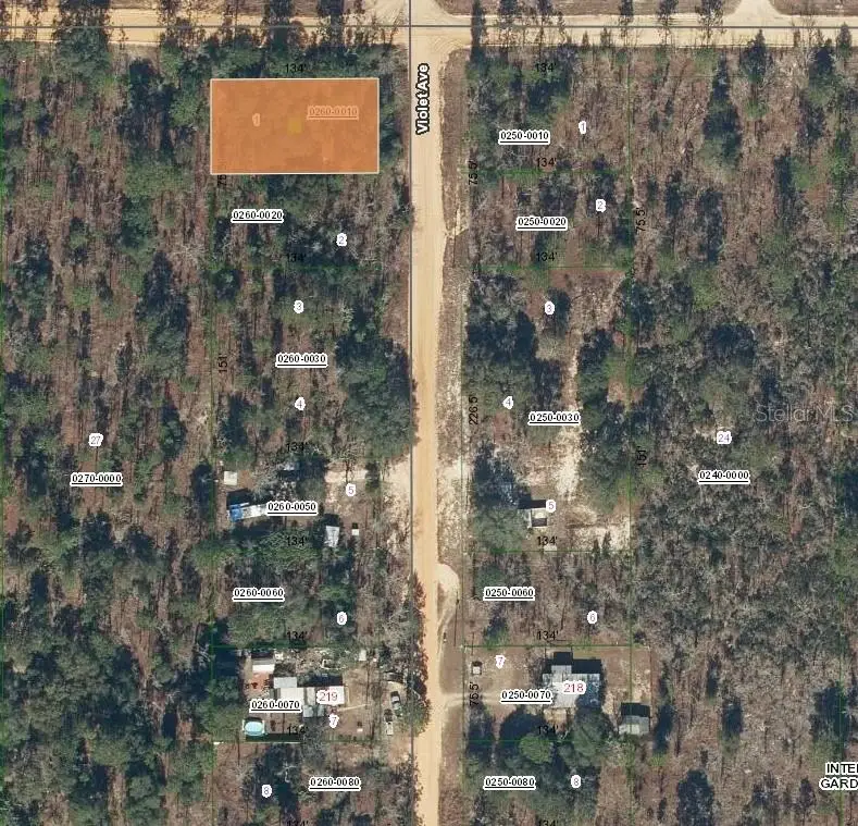 231 Violet Ave, Interlachen, FL 32148 - #1