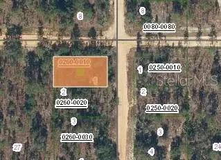 231 Violet Ave, Interlachen, FL 32148 - #2