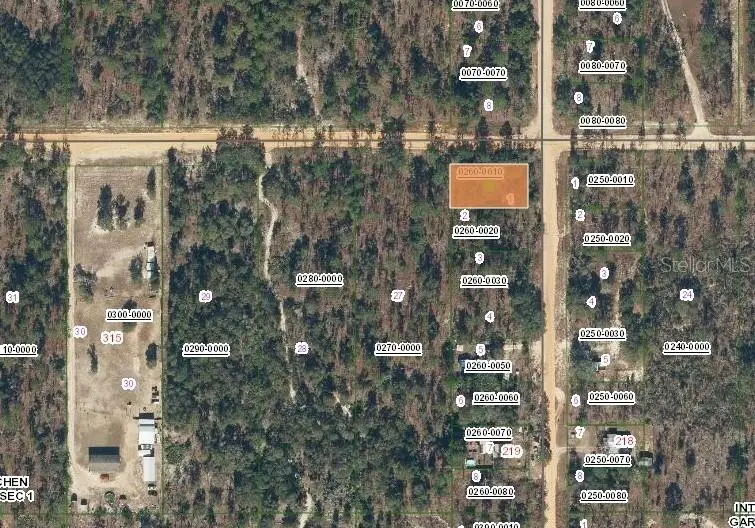 231 Violet Ave, Interlachen, FL 32148 - #3