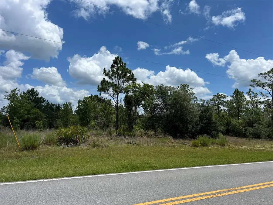 3323 W Hampshire Boulevard, Citrus Springs, FL 34433 - #2