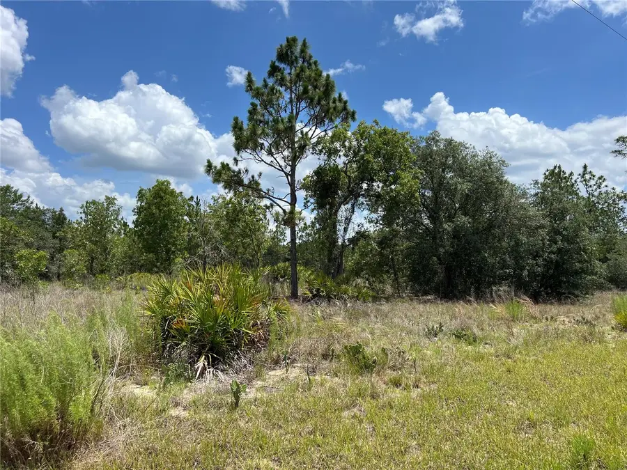 3323 W Hampshire Boulevard, Citrus Springs, FL 34433 - #3