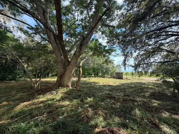 8156 Dogyard Road, LAKE WALES, FL 33898