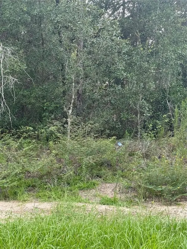 10860 N Mataro Avenue, CITRUS SPRINGS, FL 34434