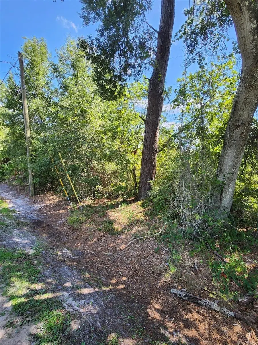 6th Avenue, Deland, FL 32724 - #2