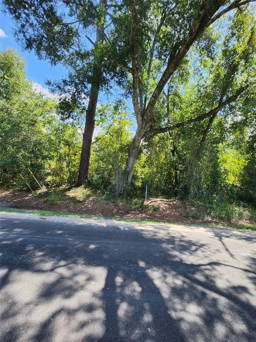 6th Avenue, Deland, FL 32724 - #3